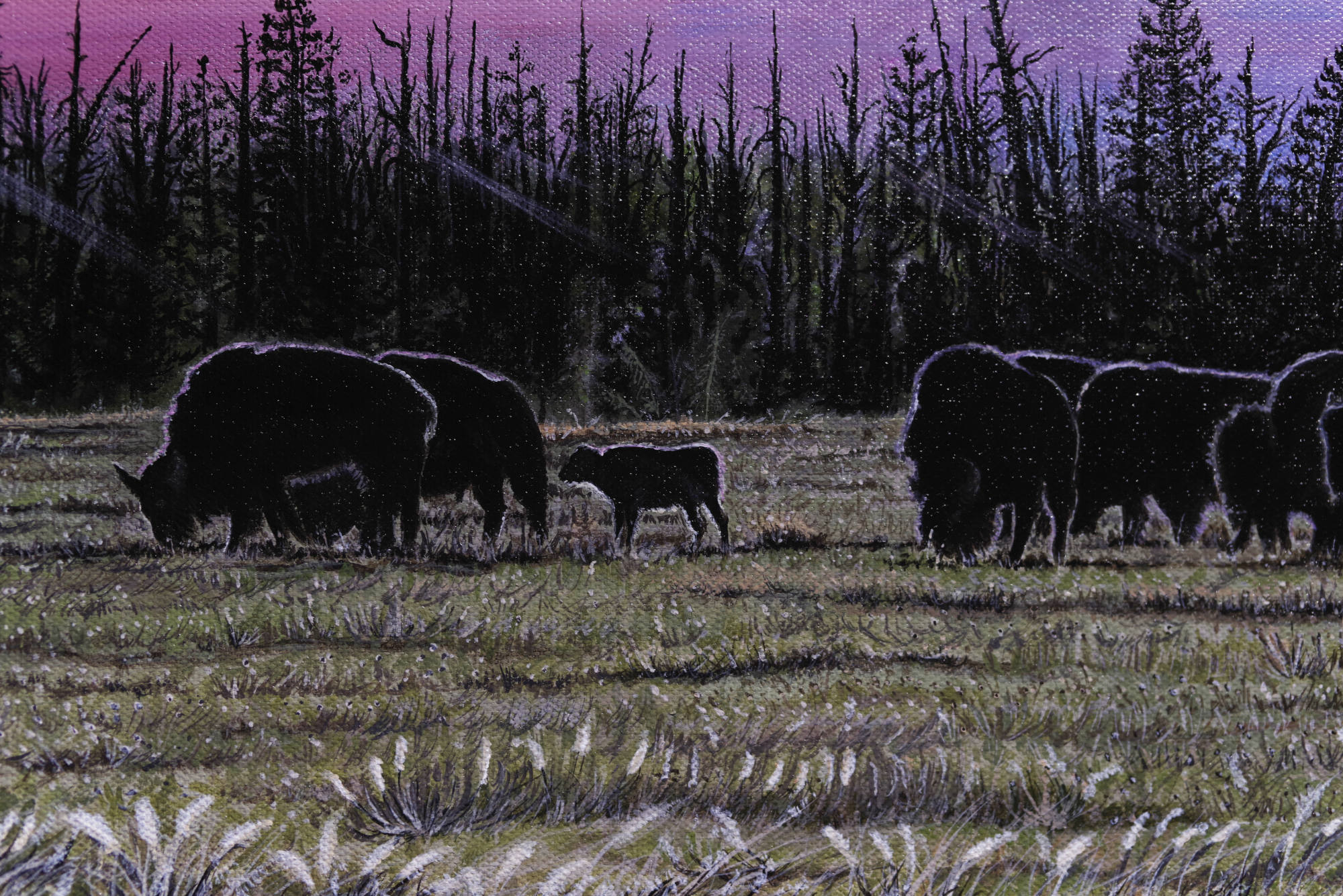 Original acrylic paintings