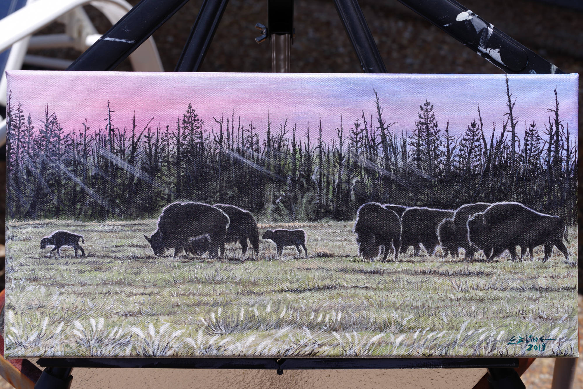 Original acrylic paintings