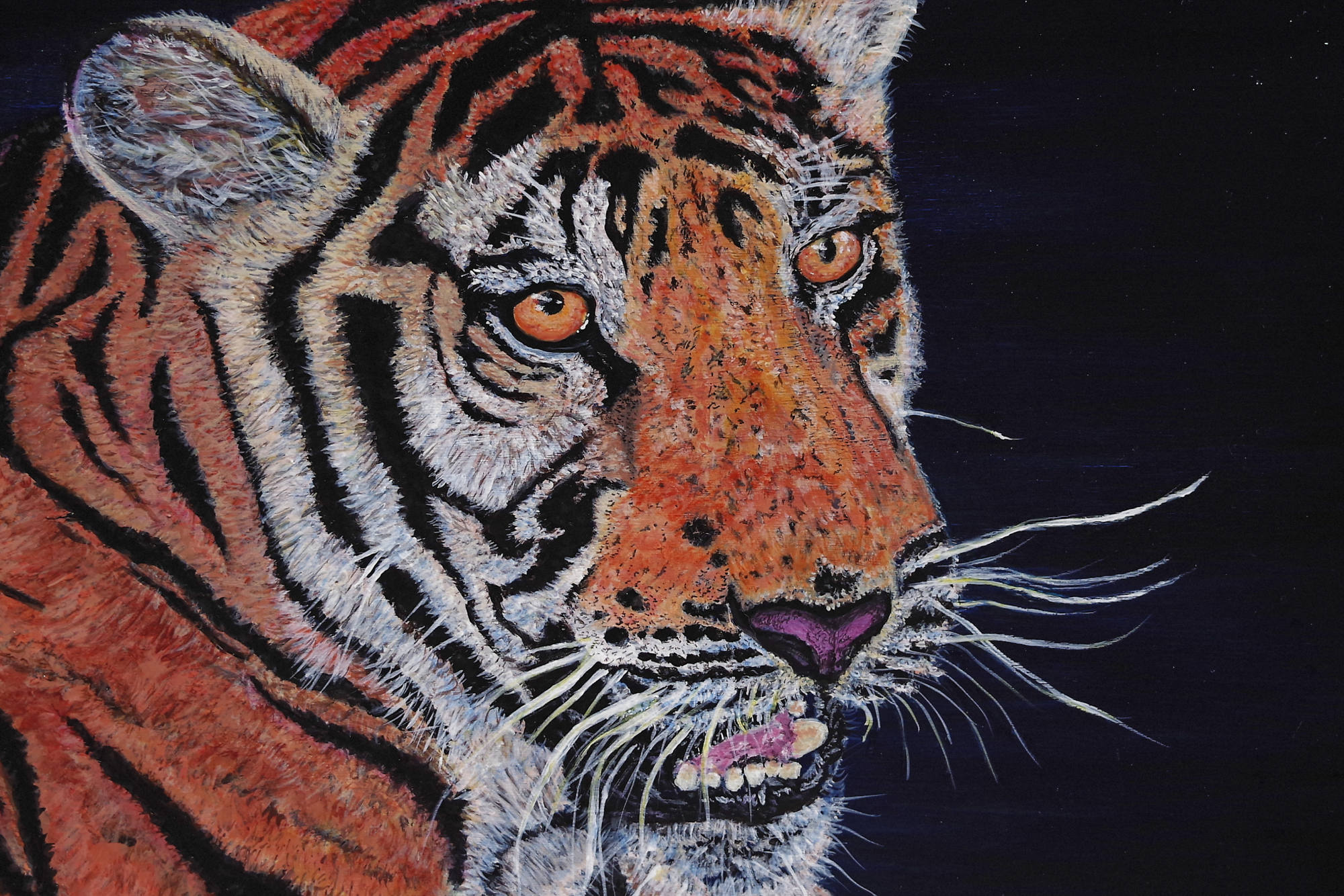 Original acrylic paintings