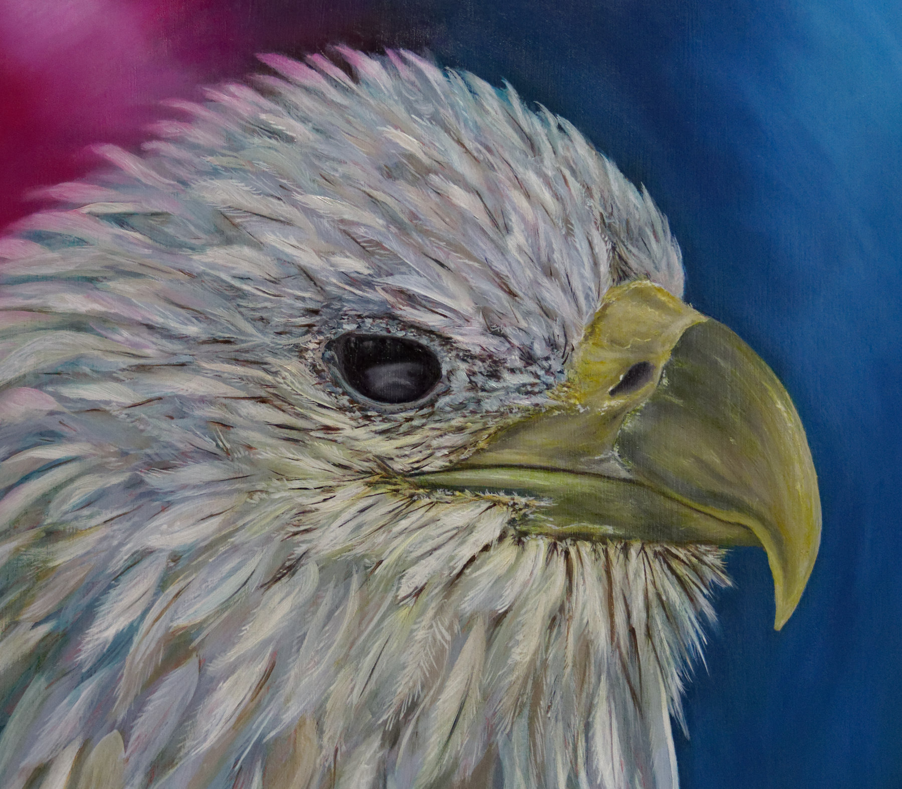 Original Oil paintings